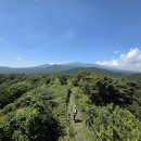 숲길로협동조합 헤드라인제주