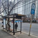 월성초등네거리 이미지