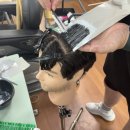 도봉-도봉-서울도봉-2444 이미지