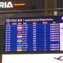 코코젬마 | 🇯🇵도쿄여행 Tokyo 1 • 걷고 걷고 또 걷는 도쿄