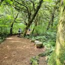 한동향기 | 제주 비자림 천년의숲 여행 후기 (제주 여름 여행지·곶자왈 숲길·힐링 산책 코스)