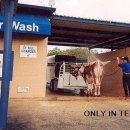 진경목장 이미지