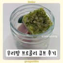 우리냉동 - 시흥시 수인로 2099-1 | 우리땅 브로콜리큐브 | 냉동 브로콜리 큐브 초기 이유식에는 아쉬운 후기 (내돈내산)
