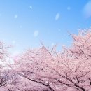익스홀릭 죽전점 네이버블로그