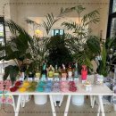 데이지브런치 이미지