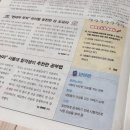 말랑말랑 쉽게 신문읽기 | 초등 신문 추천, <주니어 생글생글> 한 달 구독 내돈내산 솔직 후기