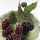 오디한의원 이미지