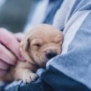 유케어종합동물병원 이미지