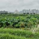 농업기술센터 외부화장실 이미지