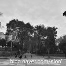 허준마을작은도서관 이미지