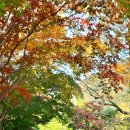 풍암제길 이미지