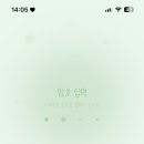 썸머브리즈 이미지