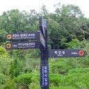 생태다리 이미지