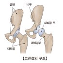 양곡골 네이버블로그