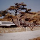 삼락초등학교 이미지