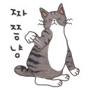 베이직 동물병원 이미지