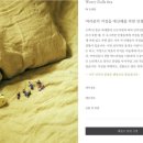 르시뜨피존 이미지