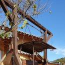 화순황토펜션 이미지