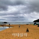 썬바다모텔 이데일리