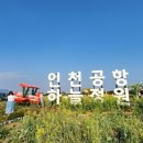 하늘6(유채밭) 이미지