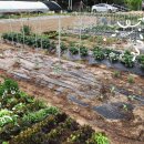 햇살농장2 이미지