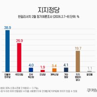 정당 지지도 민주 38.9%·국힘 26.9%…지선 후보 與 ‘우세’ [쿠키뉴스 여론조사]