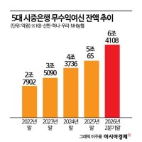 고금리·K자형 양극화에…은행권 리스크관리 키워드 '한계차주'