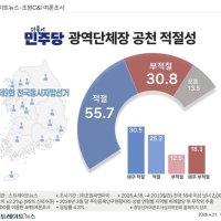 [스트레이트뉴스 여론조사] 광역단체장 민주당 공천 '적절' 55.7%…국힘은 '부적절' 우세