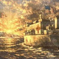 "그린란드에 병원선 파견? 美국방부, 지시 받은 바 없어"