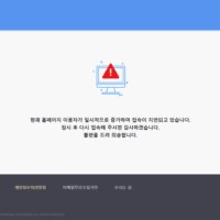 단일종목 레버리지 상장 첫날 투자 유입 급증...금융투자교육원 서버 다운