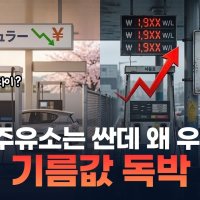 네타냐후 전략에 넘어가 전쟁 일으켰다?…“트럼프 뽑지 말걸” 등돌린 마가