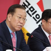 '원조 친윤' 권영세도 "선거 진 것…전면적 재선거? 부적절"