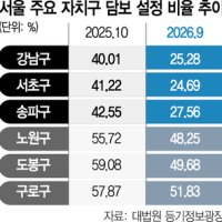 대출규제 강화에…강남 주담대 비율 ‘반토막’