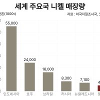핵심광물 ‘니켈’ 안보 시험대…동남아 공급망 재편 신호탄