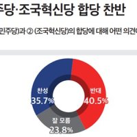 [미디어토마토] 민주당 조국혁신당 합당, 민주당 지지층은 과반 '찬성'