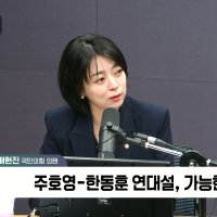 [정치쇼] 배현진 "서울시장 선거? 장동혁 방해 없다면 해볼 만…도움 되는 곳 하나도 없으니 오지 마라"
