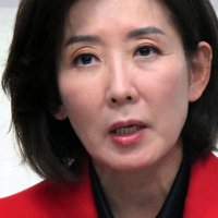 쿠팡 편든 나경원 “이재명 정부, 여론몰이 중단해야”