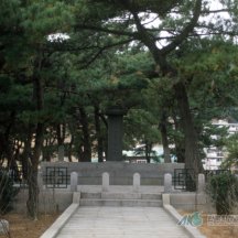 백과사전 검색결과 썸네일