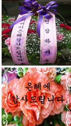 제대김밥 이미지
