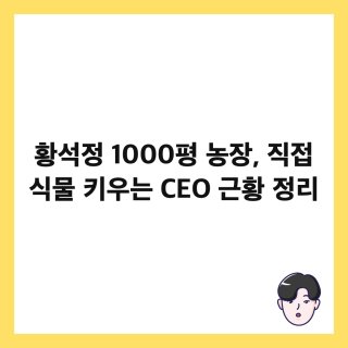 황석정 온라인 스토어
