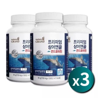 무태상어 부산 북항 수로 출몰