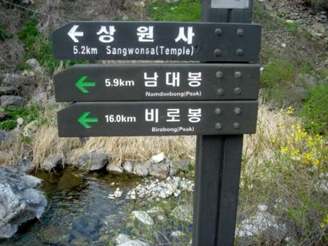 상원사 가는길에....