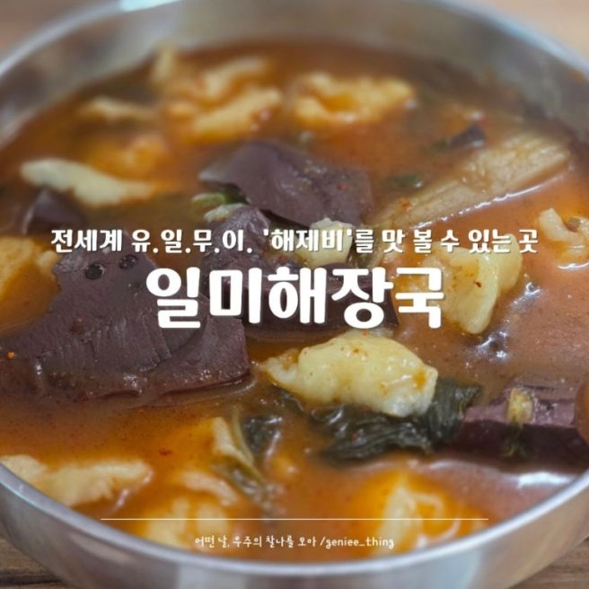 옥천 맛집 일미해장국｜해장국+수제비=해제비, 끔찍한 혼종일까 환상의 조합일까? 솔직후기