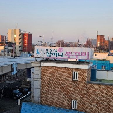 봄제철 쭈꾸미 먹으러 우순임원조할머니쭈꾸미