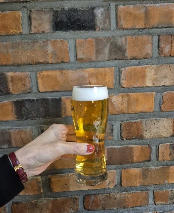 대구 팔공산 블루문레스토랑 스페셜코스 🍷 레드와인과 생맥주까지 완벽한 분위기 한끼