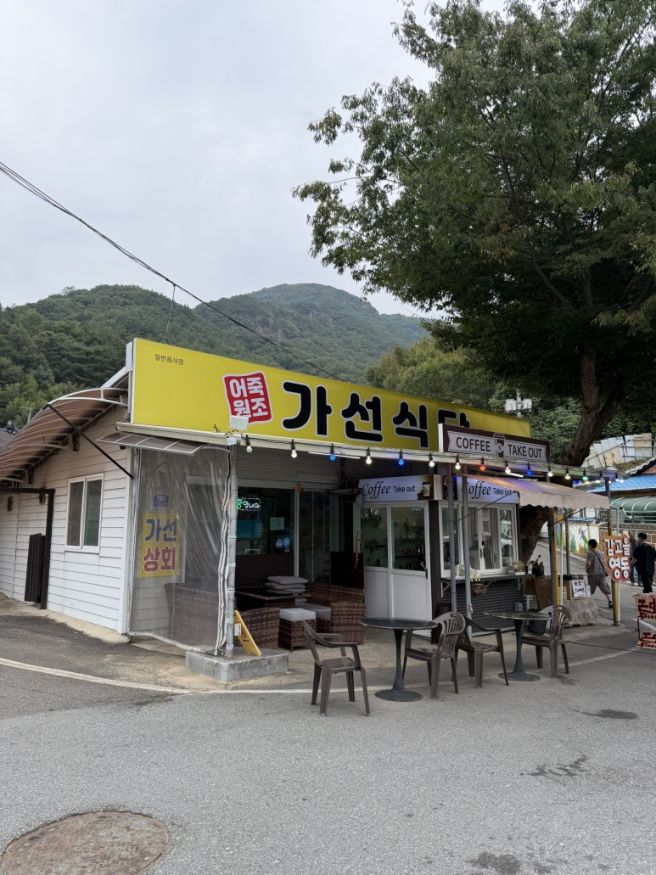 충북 영동 어죽 맛집 '가선식당' 후기 | 도리뱅뱅이·주차, 월류봉 나들이