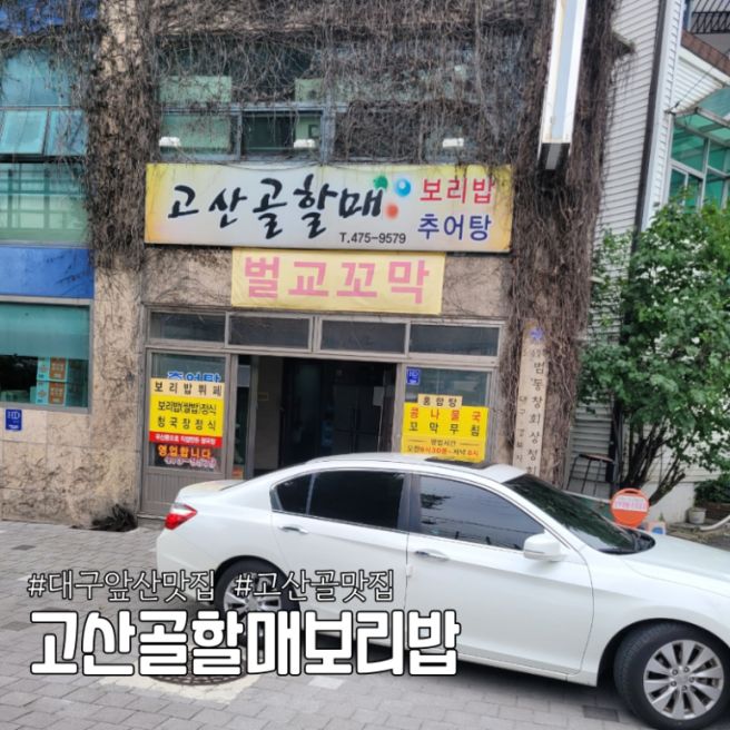 대구 앞산공원맛집 고산골할매보리밥
