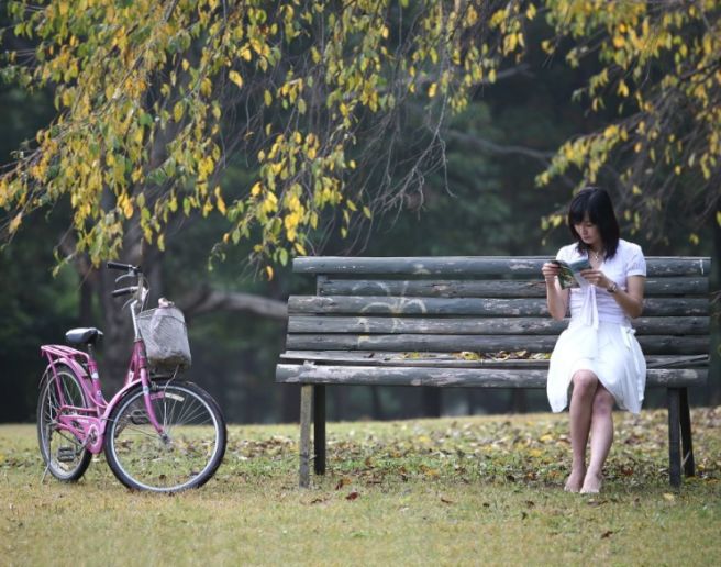 ��� �̹���