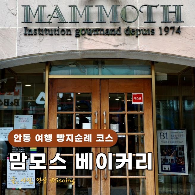 안동 여행 빵지순례 코스 맘모스베이커리 빵 추천 주말 웨이팅