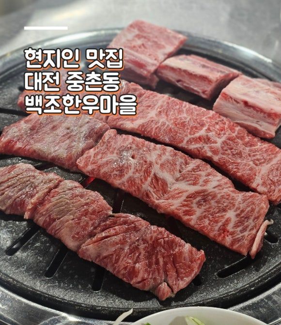 현지인 맛집 백조한우마을 중촌동 고기집 생갈비집 ▪︎ 대전 중구 소고기 찐맛집 ▪︎주차 후기 회식장소 추천